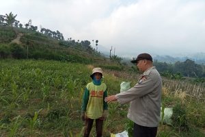 Sambang Petani Jagung Pipil, Aiptu Siswo Perkuat Sinergi Ketahanan Pangan di Desa