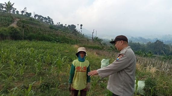Sambang Petani Jagung Pipil, Aiptu Siswo Perkuat Sinergi Ketahanan Pangan di Desa