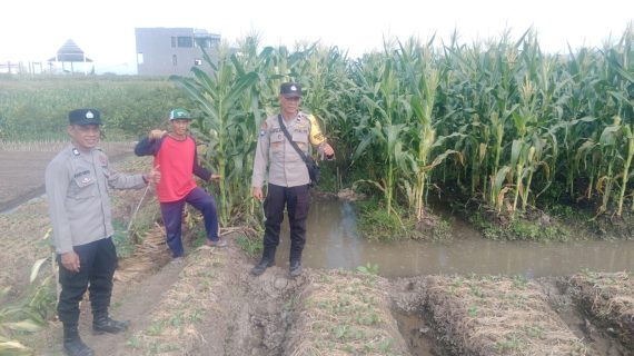 Bhabinkamtibmas Giripurno Perkuat Ketahanan Pangan, Dampingi Petani Tumpang Sari Jagung, Sawi, dan Bawang Prei