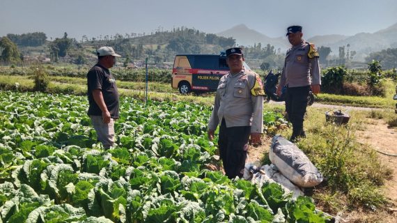 Bhabinkamtibmas Ngroto Turun ke Ladang, Dukung Ketahanan Pangan P2L dan Serap Aspirasi Petani Sayur
