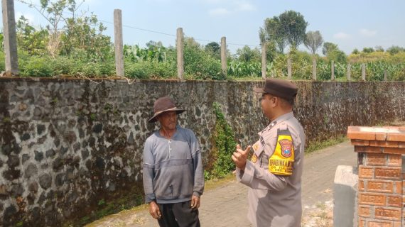 Bhabinkamtibmas Tulungrejo Sambangi Petani Jagung Manis, Serap Aspirasi dan Dukung Ketahanan Pangan di Junggo