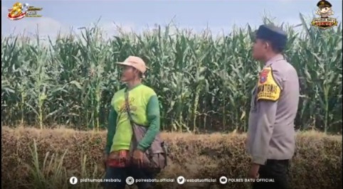 Sambang Petani Jagung, Bhabinkamtibmas Desa Pait Perkuat Kemitraan dan Dukung Ketahanan Pangan