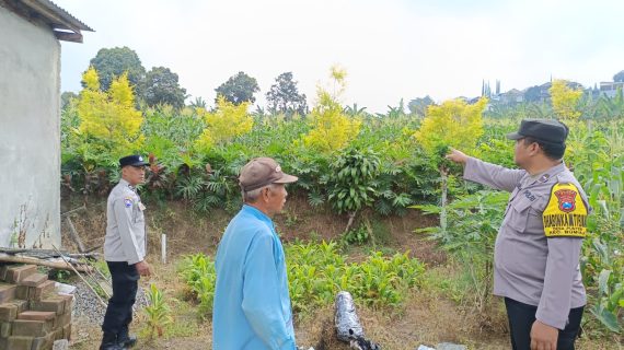 Bhabinkamtibmas Punten Turun ke Ladang, Dengar Aspirasi Petani Jagung Manis dan Perkuat Ketahanan Pangan