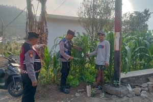 Sambang Petani Jagung Manis, Aipda Andri Perkuat Sinergi Ketahanan Pangan di Desa Gunungsari
