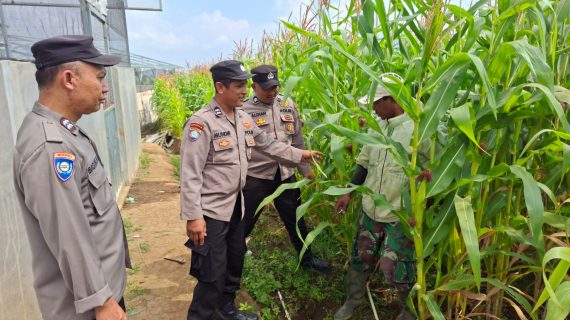 Sambang Petani Jagung Pipil, Briptu Aldian Serap Aspirasi Petani dan Perkuat Ketahanan Pangan