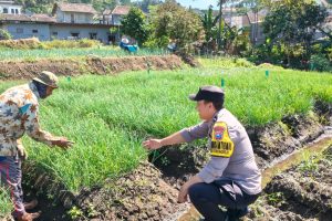 Dukung Ketahanan Pangan, Aipda Dul Didit Sambangi Petani Bawang Merah dan Sampaikan Pesan Kamtibmas
