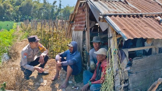 Polri Turun ke Lahan, Serap Aspirasi Petani Jagung Soal Pupuk dan Biaya Produksi