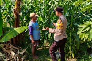 Sambang Petani di Sisir, Polri Perkuat Keamanan Lahan dan Lindungi Hasil Pertanian