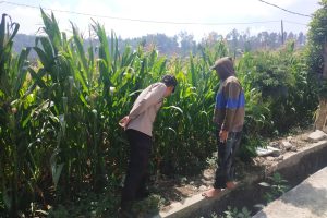 Polri Sambang Petani, Serap Aspirasi dan Perkuat Sinergi di Lahan Pertanian