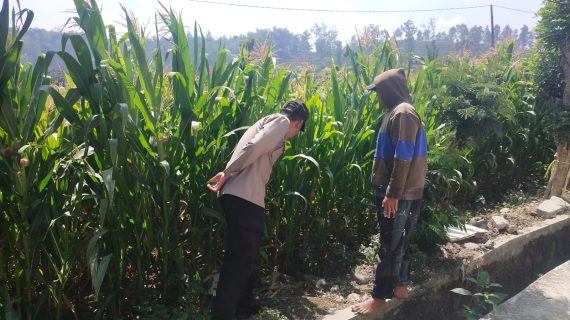 Polri Sambang Petani, Serap Aspirasi dan Perkuat Sinergi di Lahan Pertanian