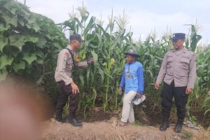 Sambang Petani, Polri Hadir Perkuat Ketahanan Pangan