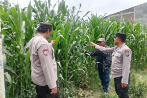 Sambang Petani, Polri Hadir Serap Aspirasi dan Perkuat Ketahanan Pangan