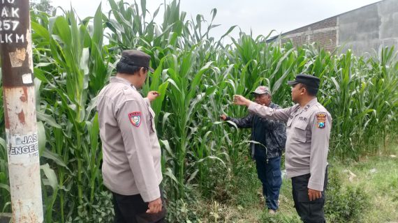 Sambang Petani, Polri Hadir Serap Aspirasi dan Perkuat Ketahanan Pangan