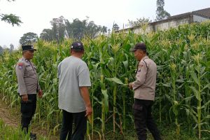 Sambang Petani, Polri Hadir Serap Aspirasi dan Perkuat Ketahanan Pangan