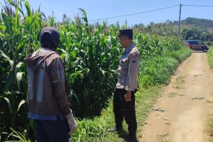 Dekat dengan Petani, Polri Dorong Pertanian Aman dan Produktif