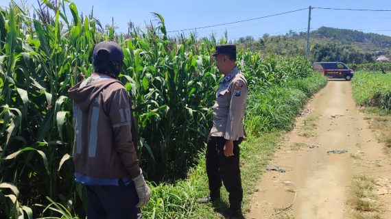 Dekat dengan Petani, Polri Dorong Pertanian Aman dan Produktif