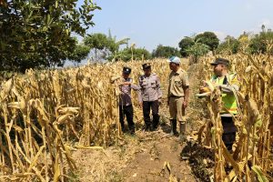 Giat Sambang Bhabinkamtibmas Desa Sidomulyo Polsek Batu