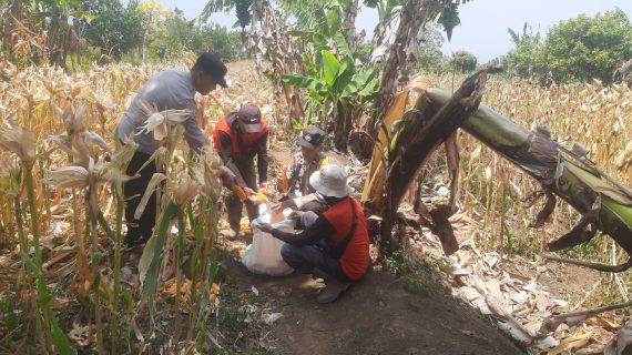 Sambang Lahan Jagung, Polri Perkuat Sinergi Dukung Ketahanan Pangan